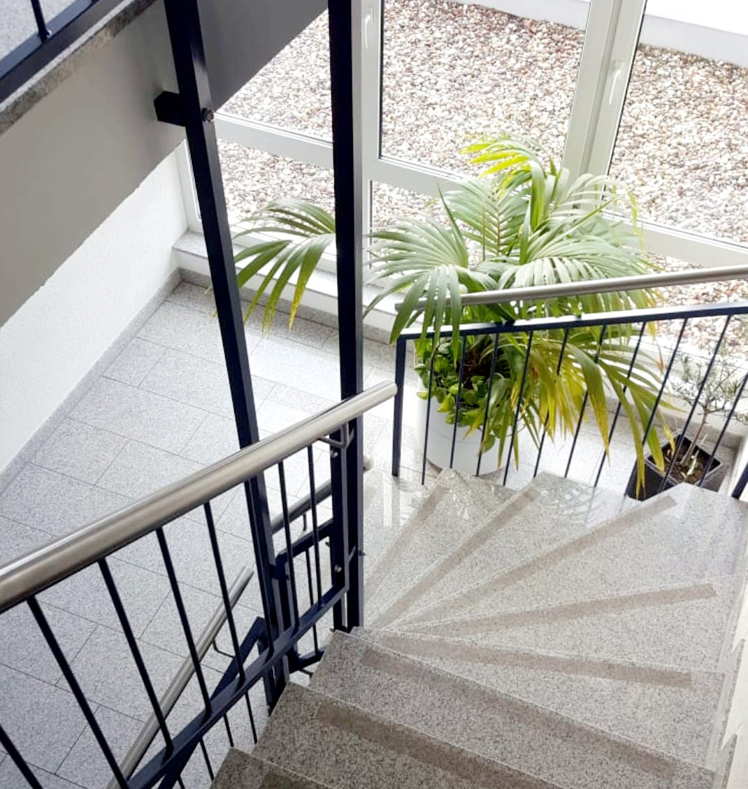 treppe_pflanze.jpg